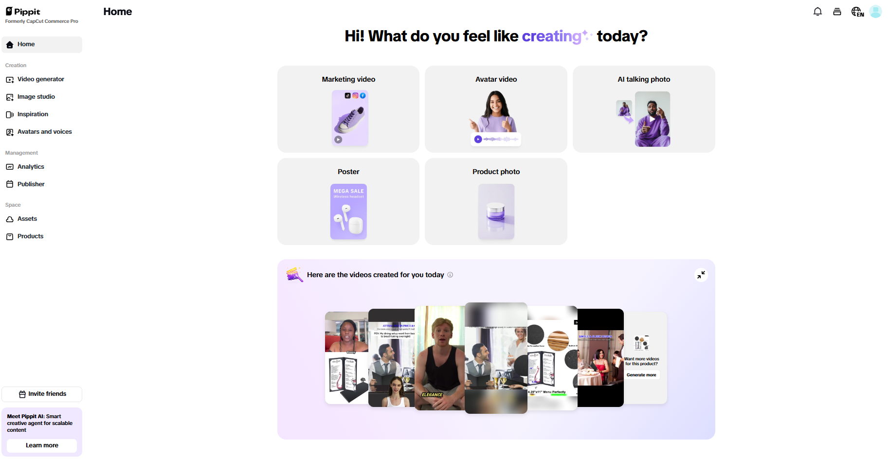 Pippit interface