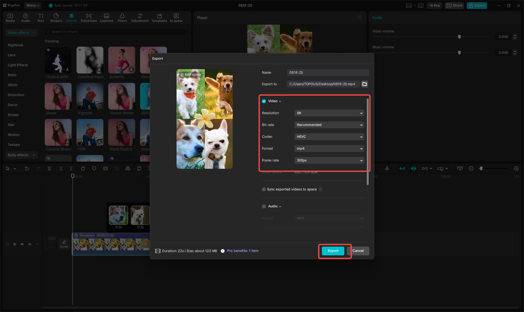 Export the collage video for Instagram Story