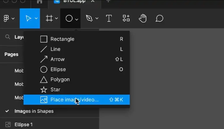 Select and highlight the image