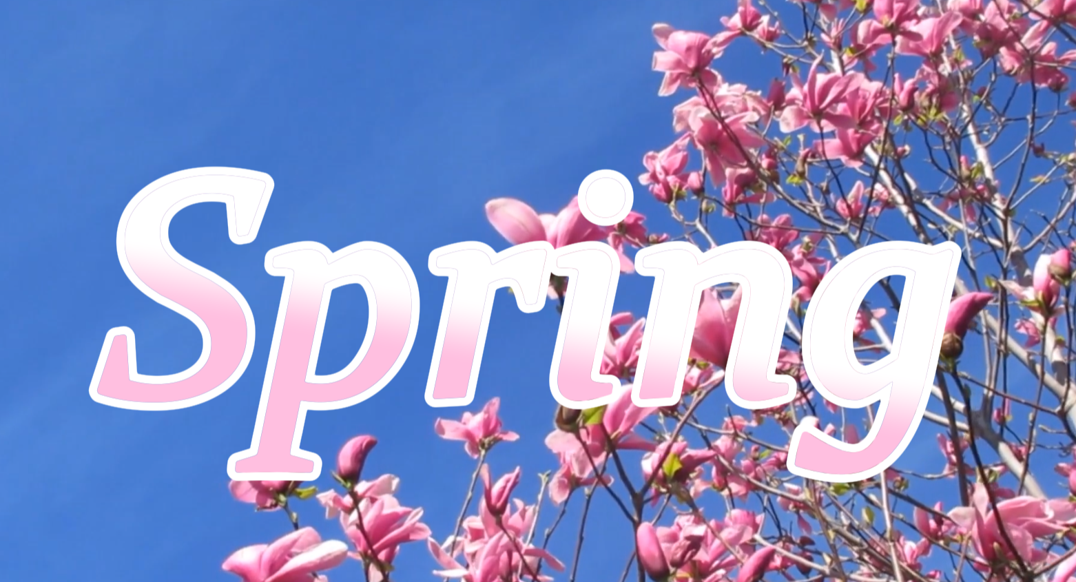 Gradient text