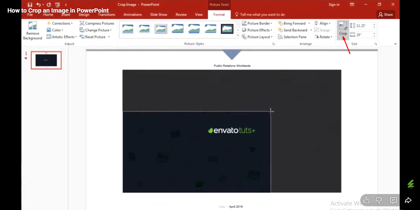 Applying the crop tool in PowerPoint