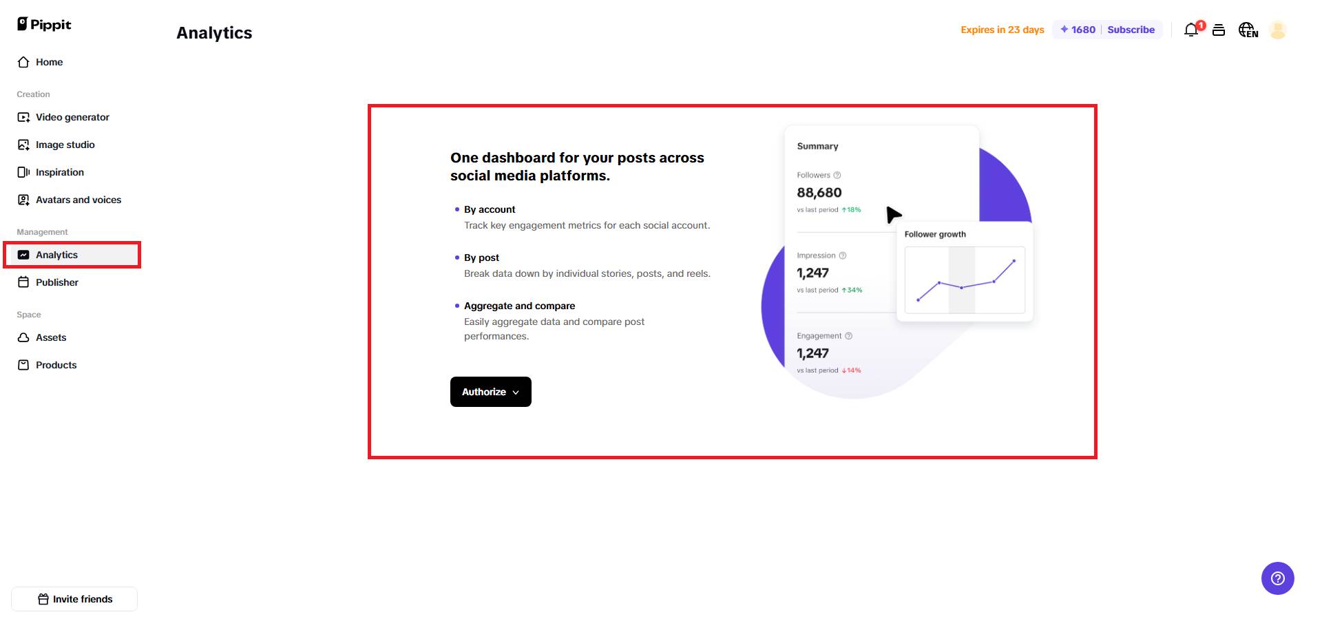 Analytics and performance insights