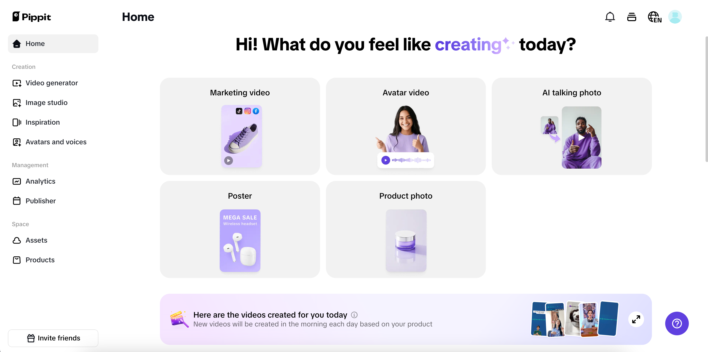 Pippit interface