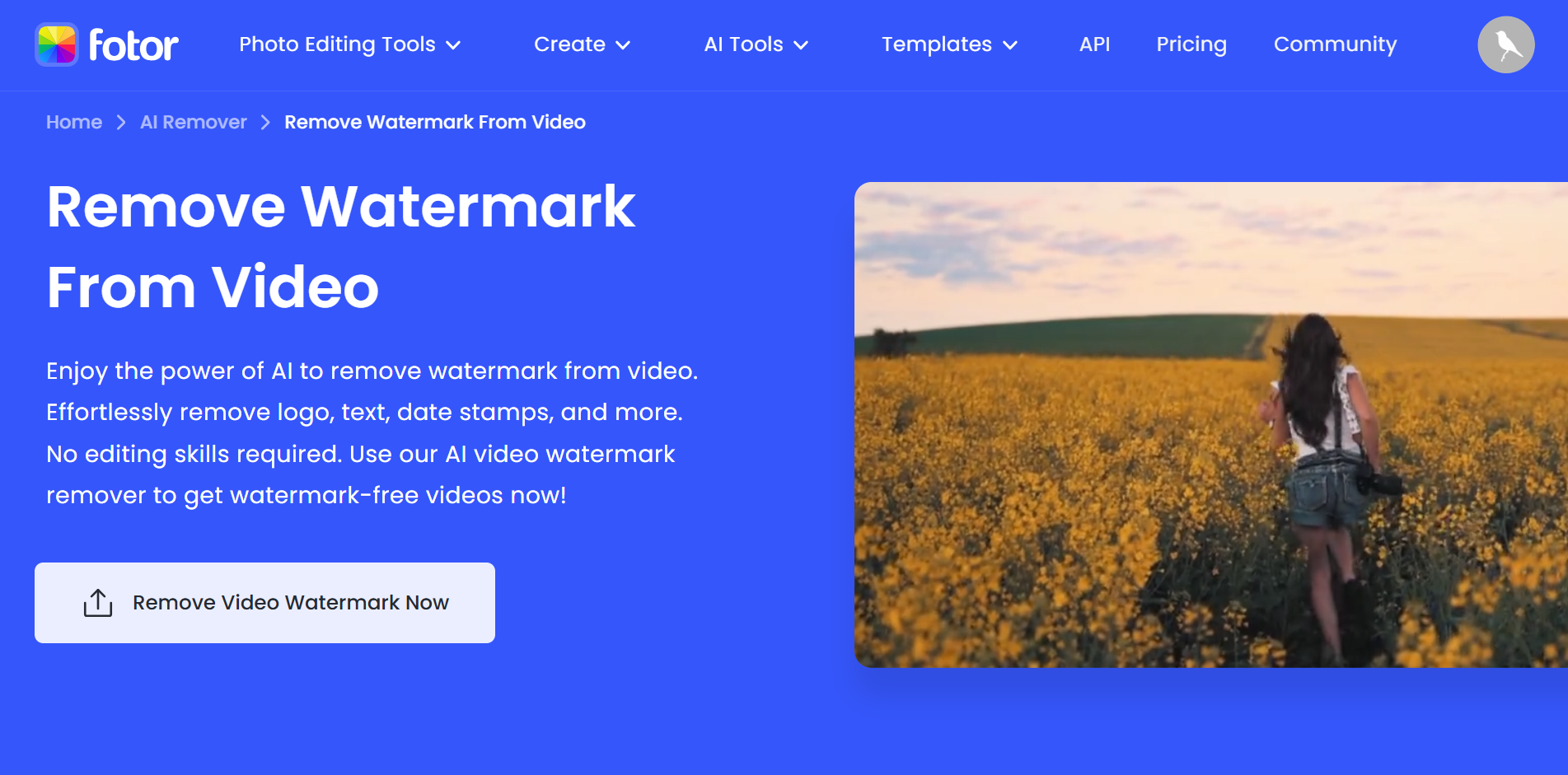 Uploading a video to the Fotor watermark remover