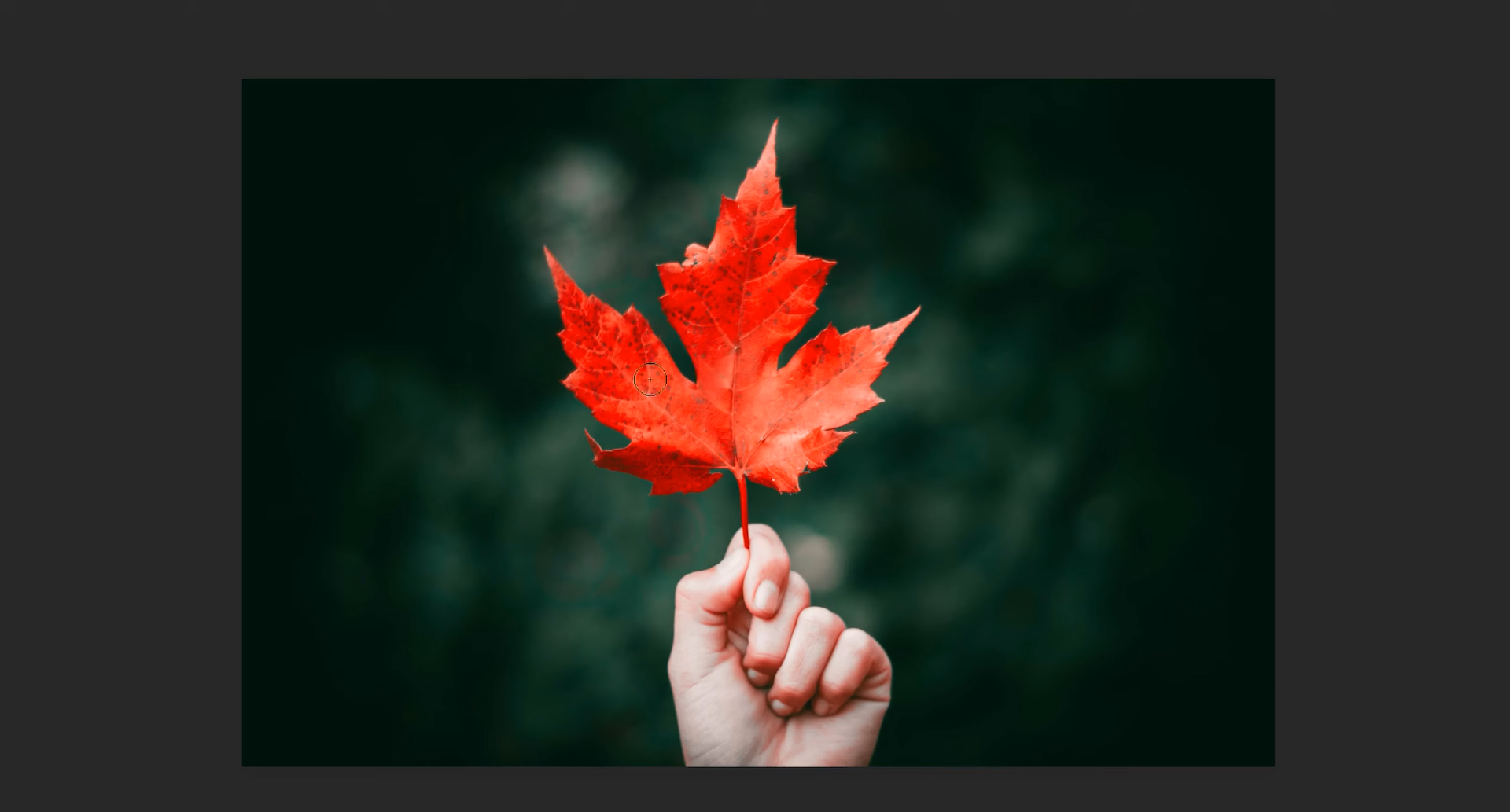 how to turn something black and white in photoshop