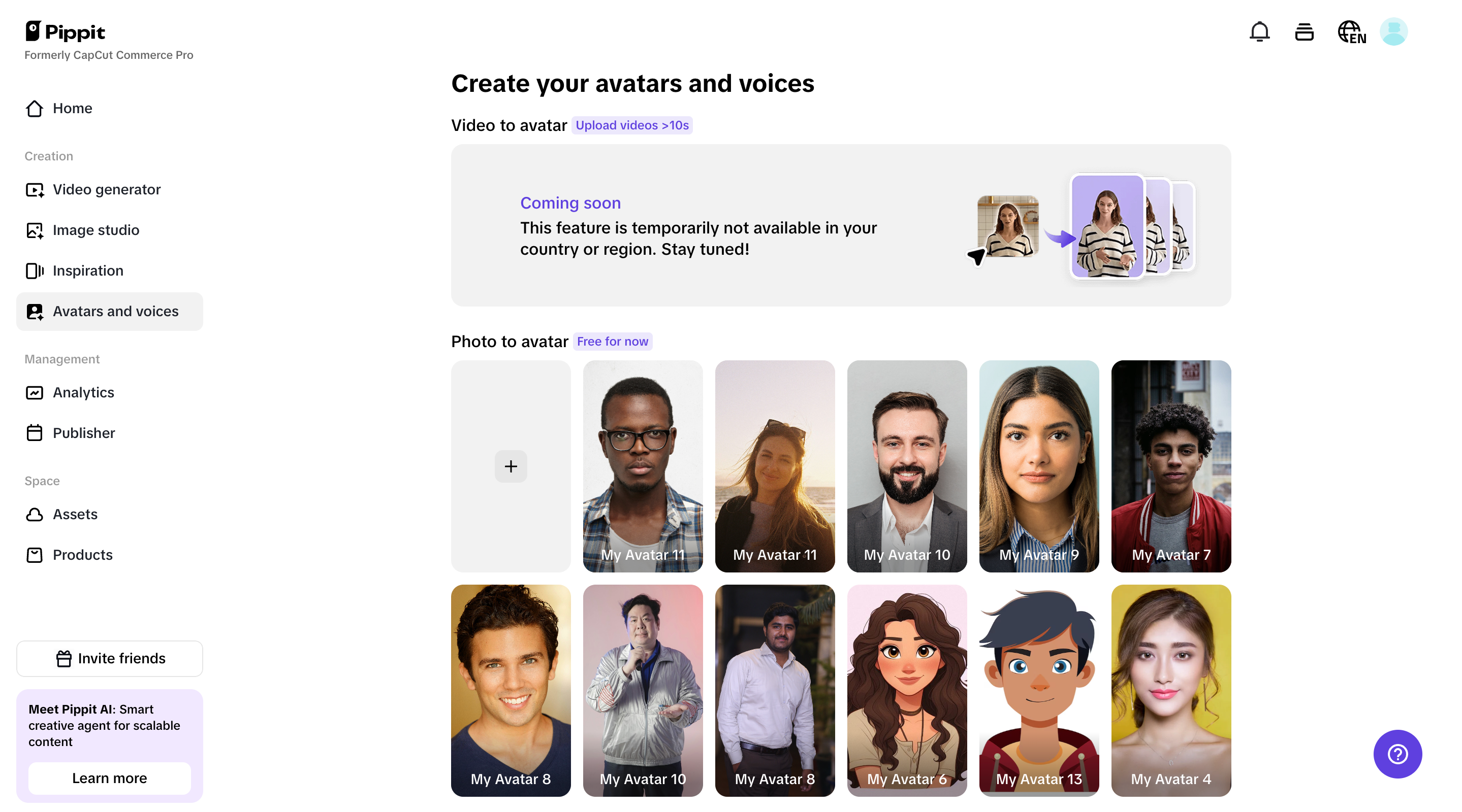 Avatar and voices