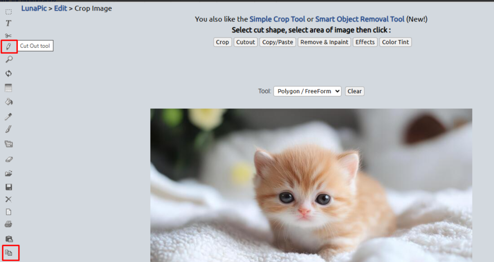 Použití nástroje Výřez v online editoru fotografií LunaPic