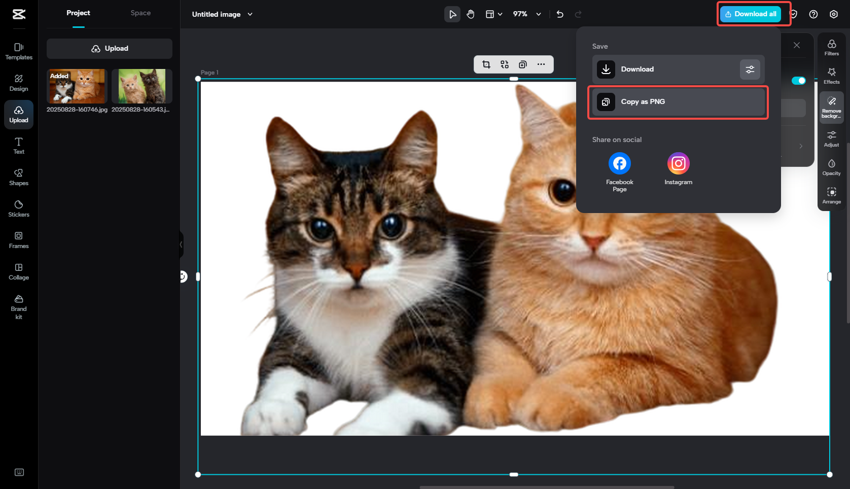 Esporta l'immagine senza lo sfondo