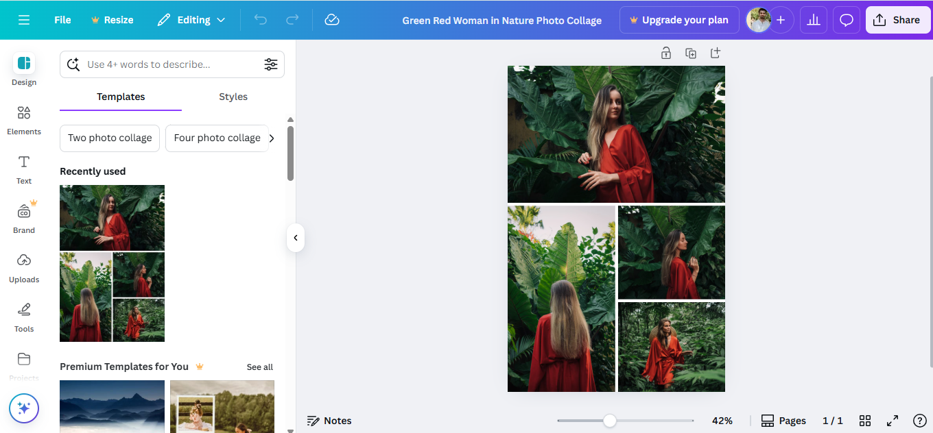 Canva - a go-to photo layout maker