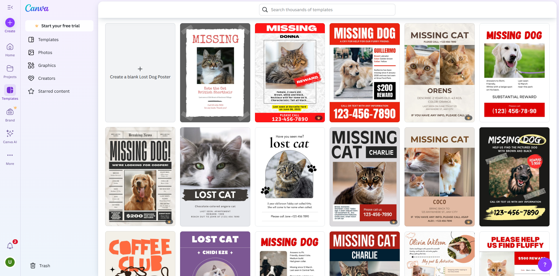 Interface of Canva - an online tool for making missing animal posters