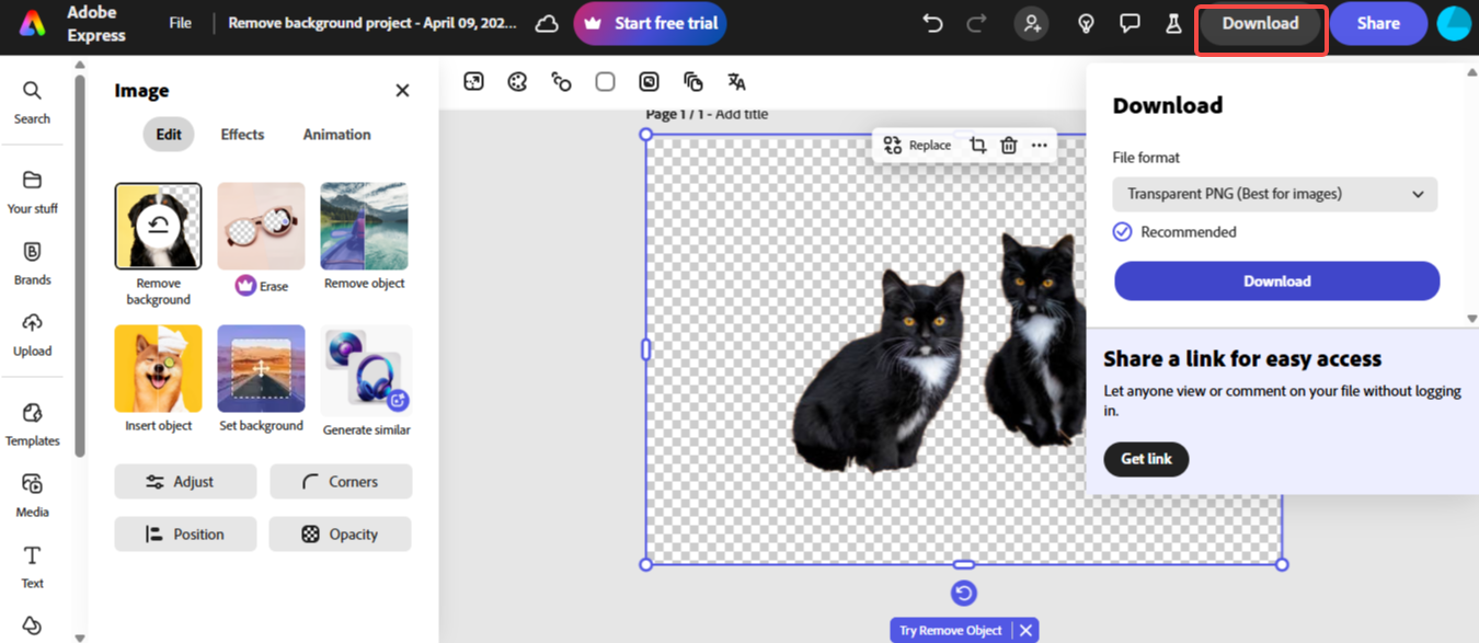 Download and save your image
