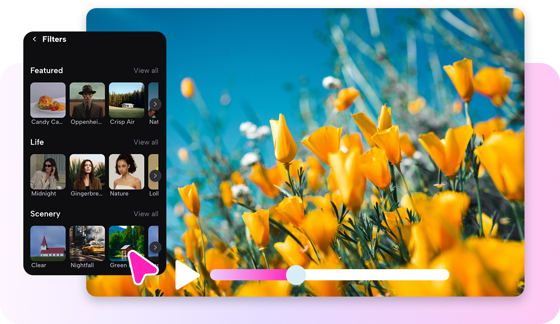 Video filters in Pippit for color correction