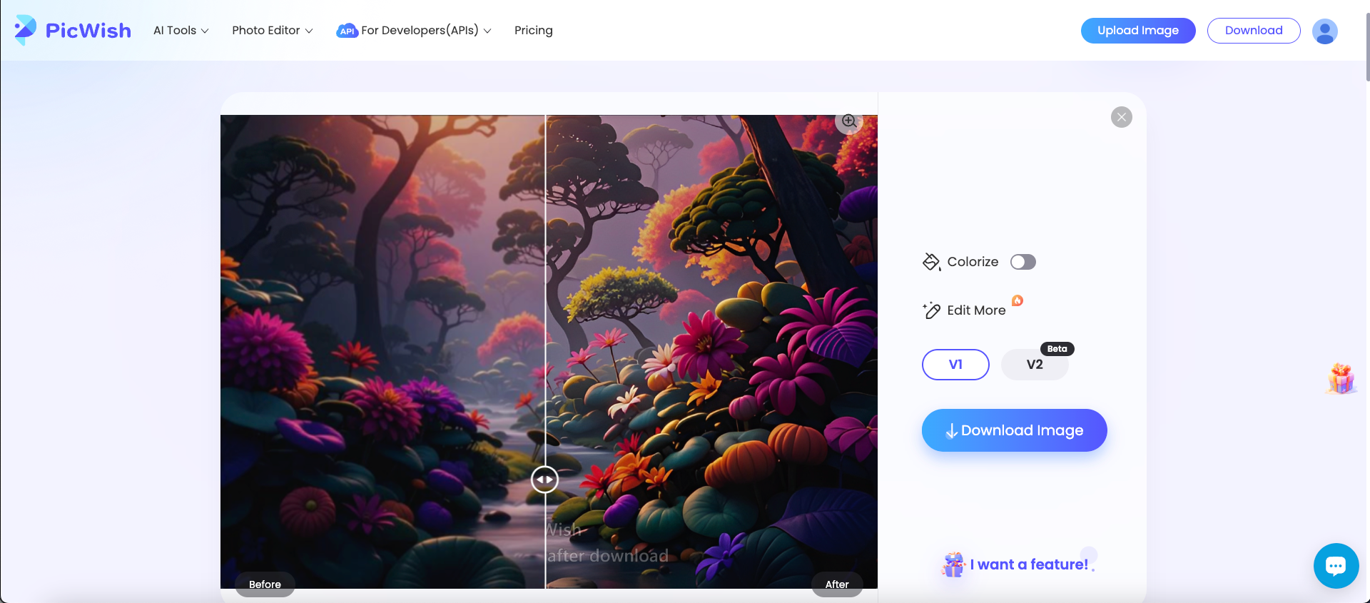 Picwish foto förstoringssida