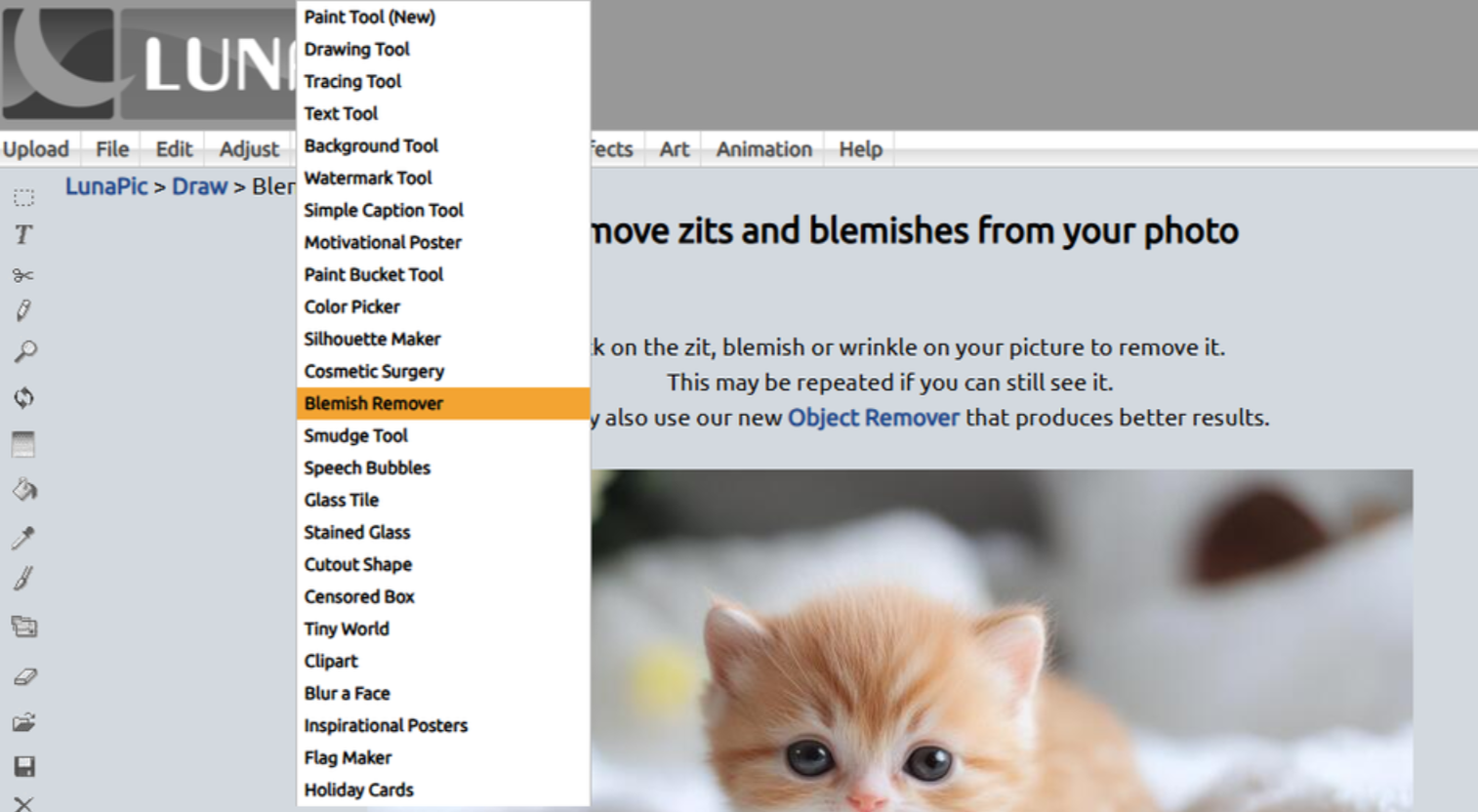 Použití odstraňovače vady v LunaPic online editor fotografií