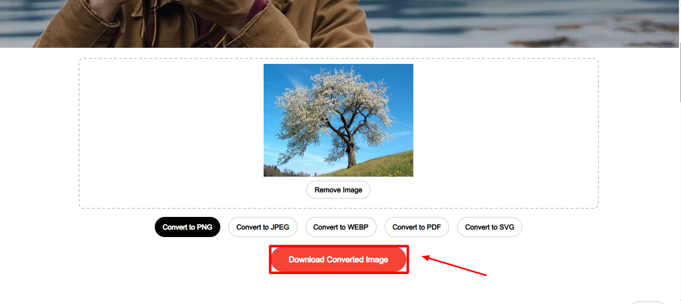 Download image in Shutterstock