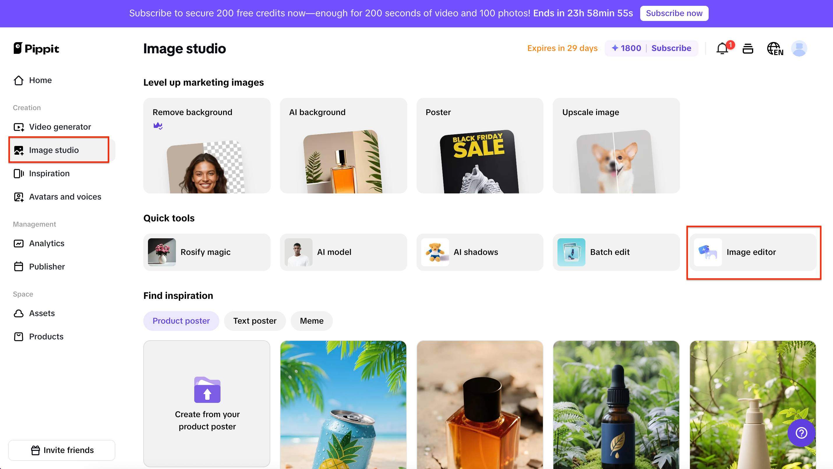 Access Pippit's Image Studio