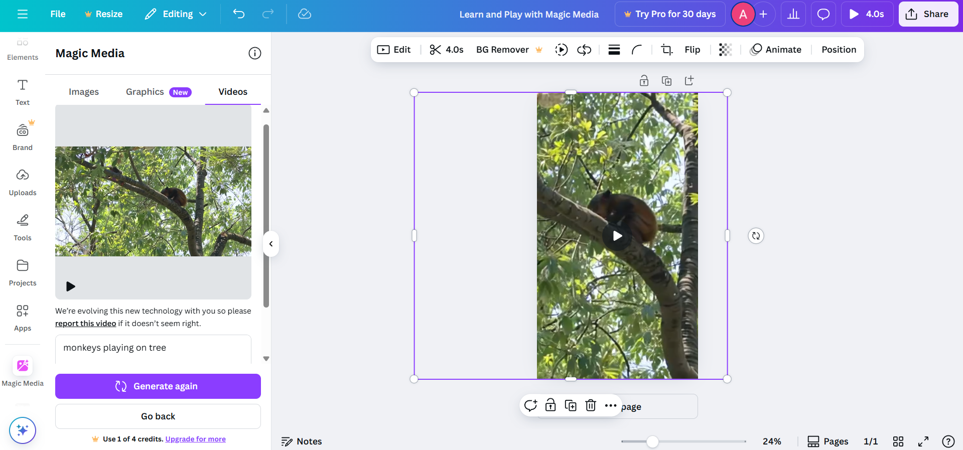 Canva interface