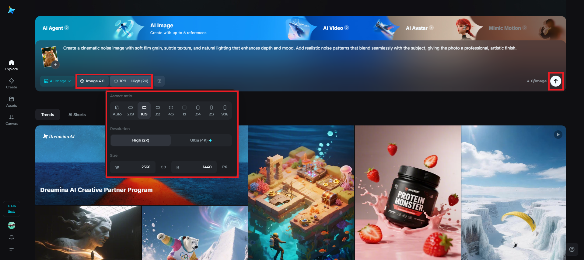 Select the model and image parameters