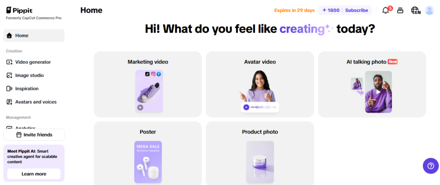 Pippit Main Interface