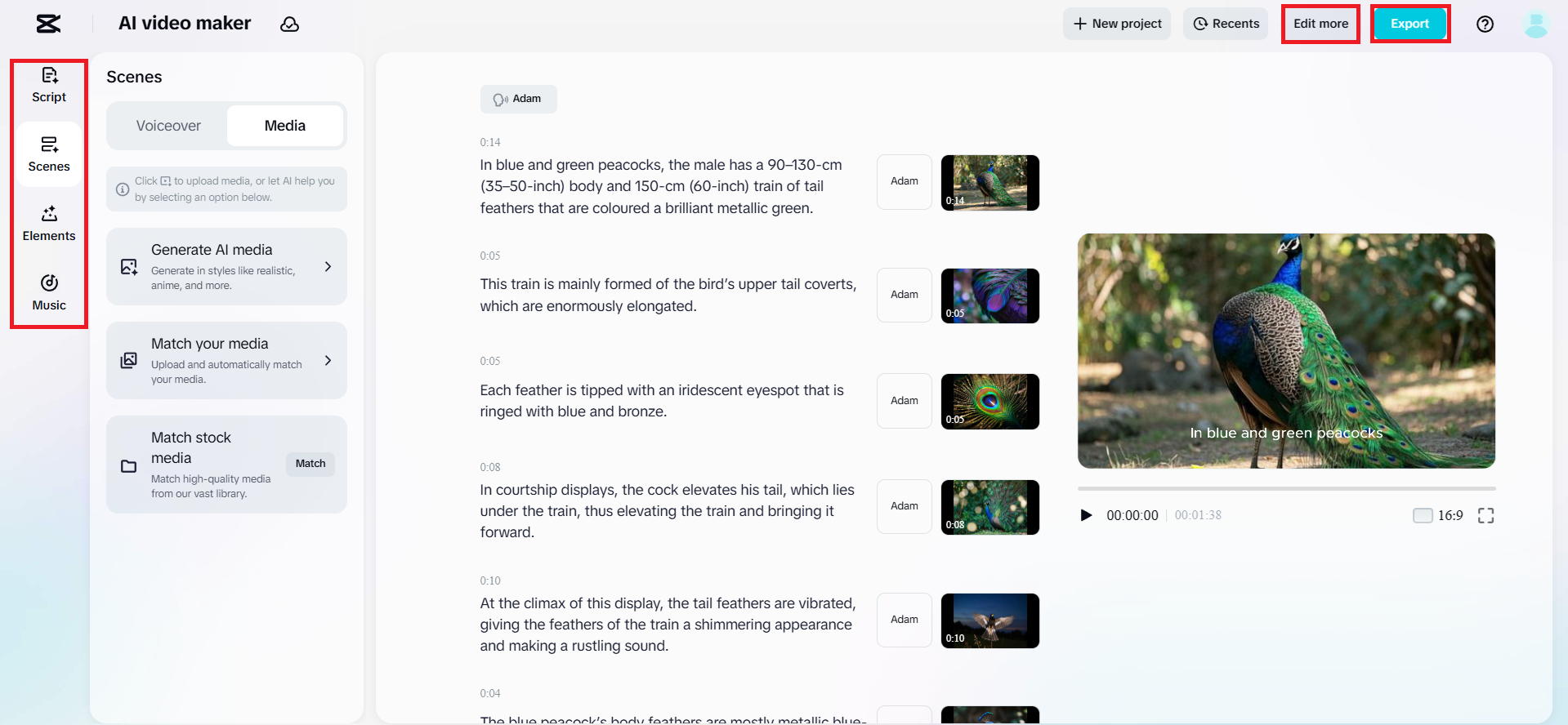 生成相關的 AI 媒體
