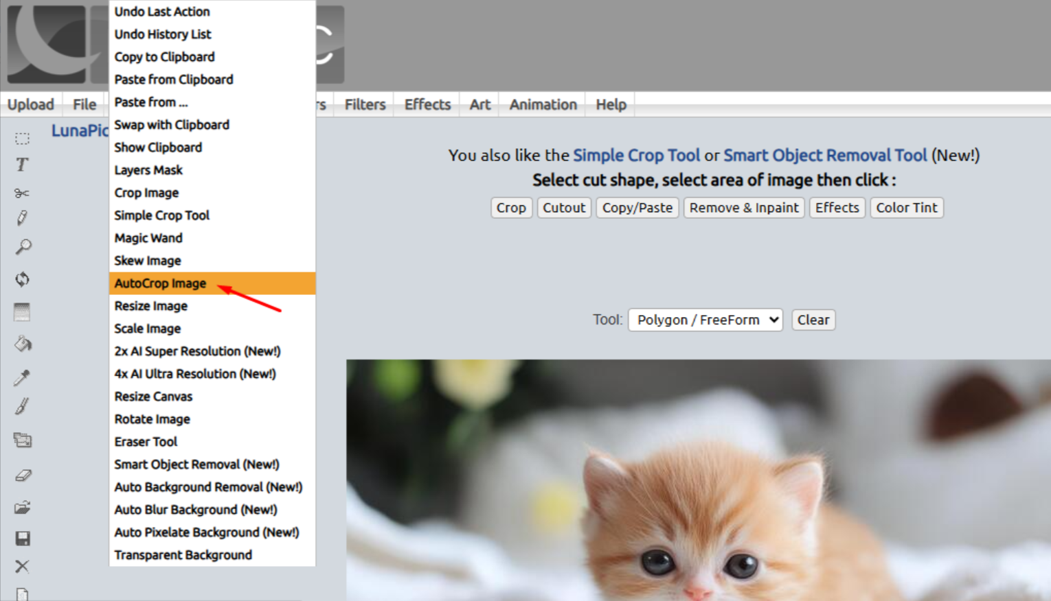 Použití automatického oříznutí v LunaPic online editor fotografií