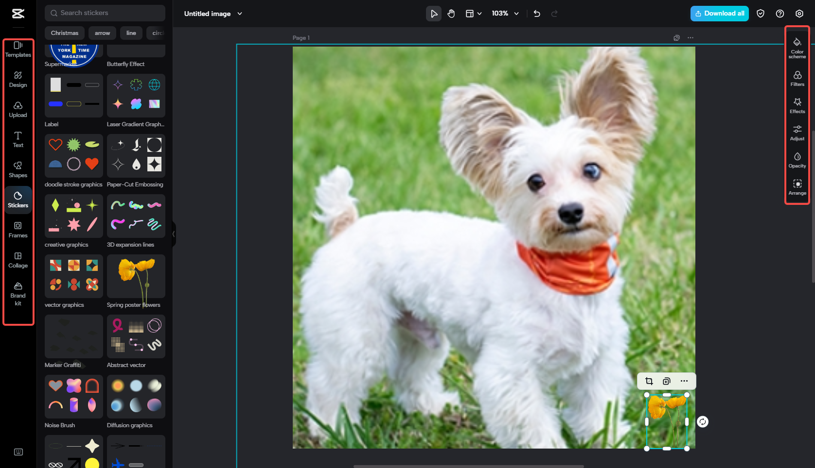 リサイズされた画像をカスタマイズする
