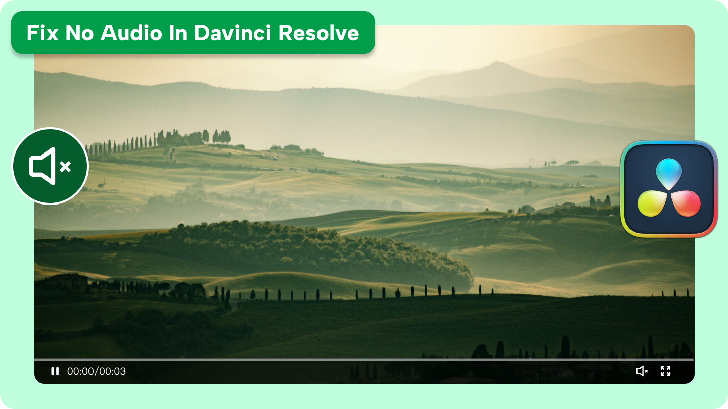 davinci resolve no audio