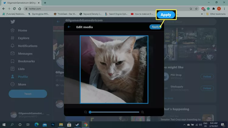 Crop and position the image