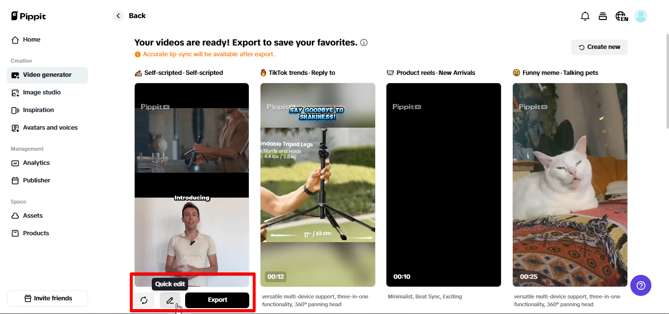 Exporting video from Pippit