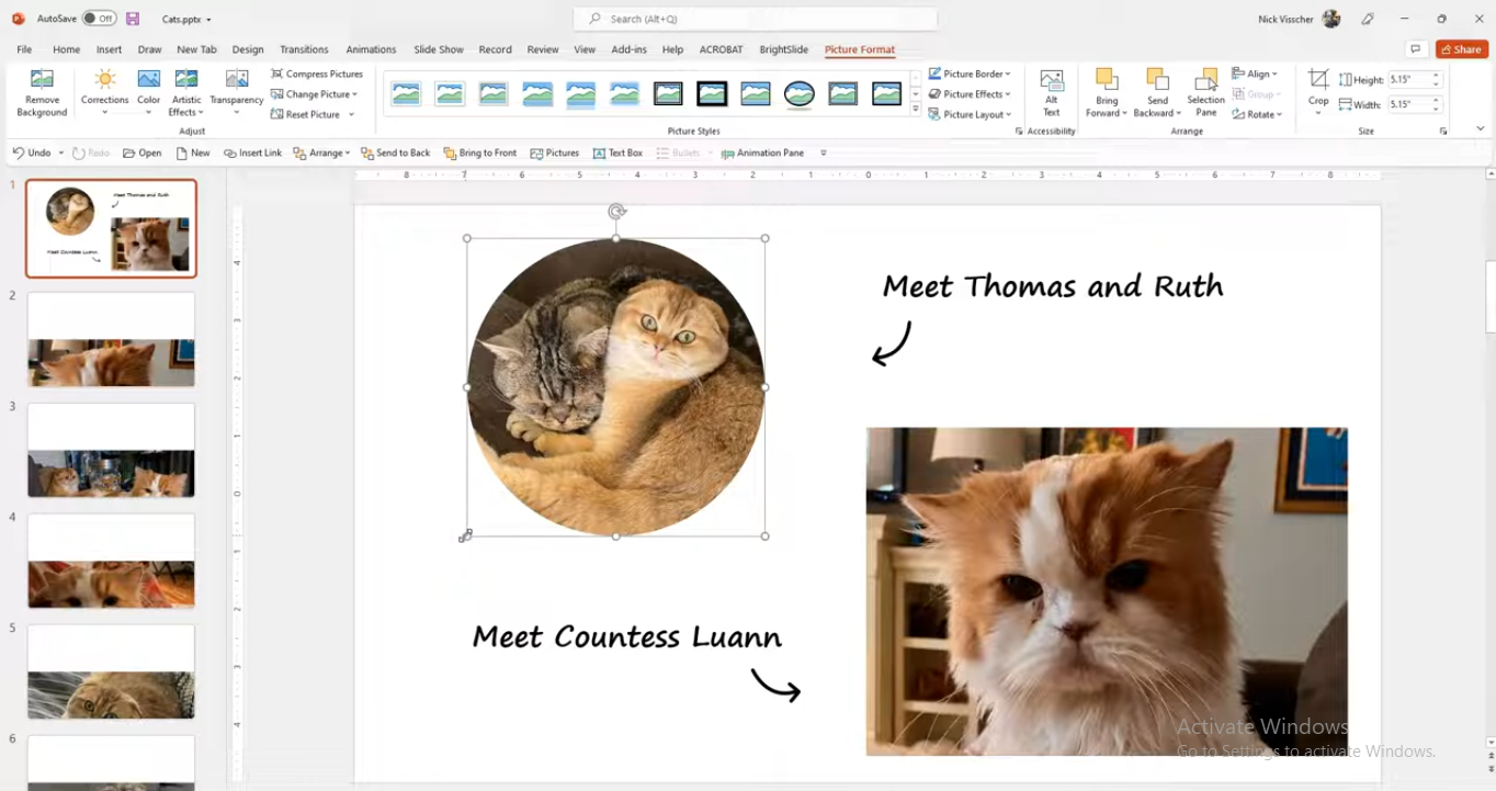 Adjusting and finalizing the crop in PowerPoint