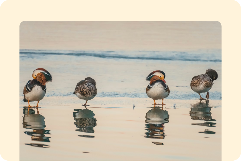 Nature & travel documentation