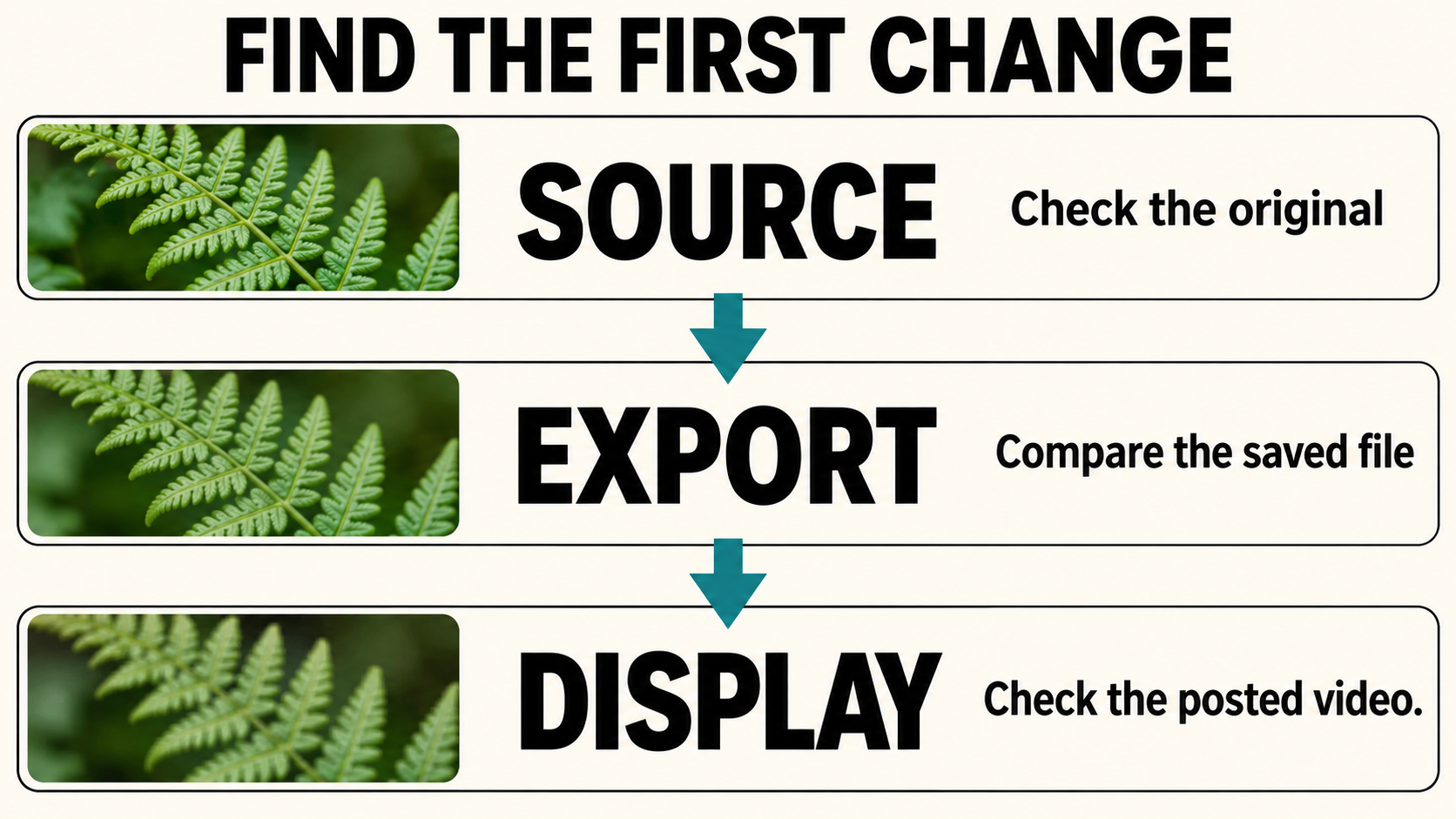 Three-stage diagnosis diagram showing source export and display checkpoints
