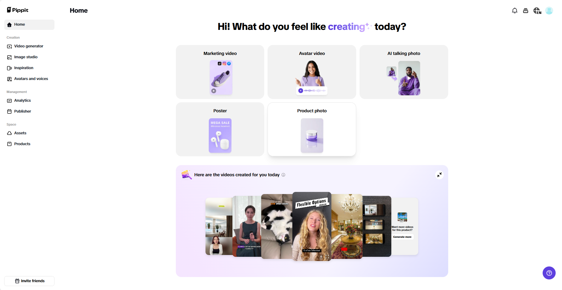 Pippit interface