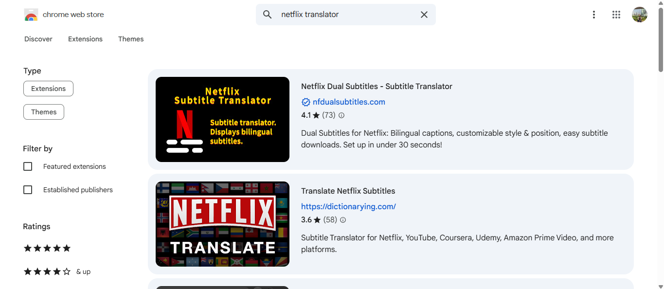 Netflix subtitle translator extensions