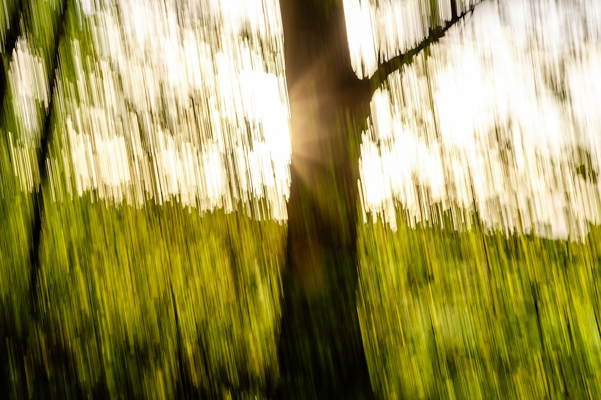 Shaky camera work