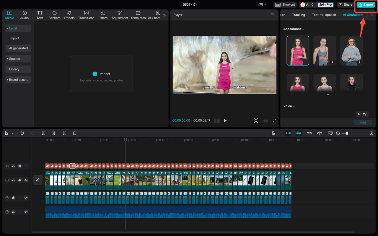 Export the video