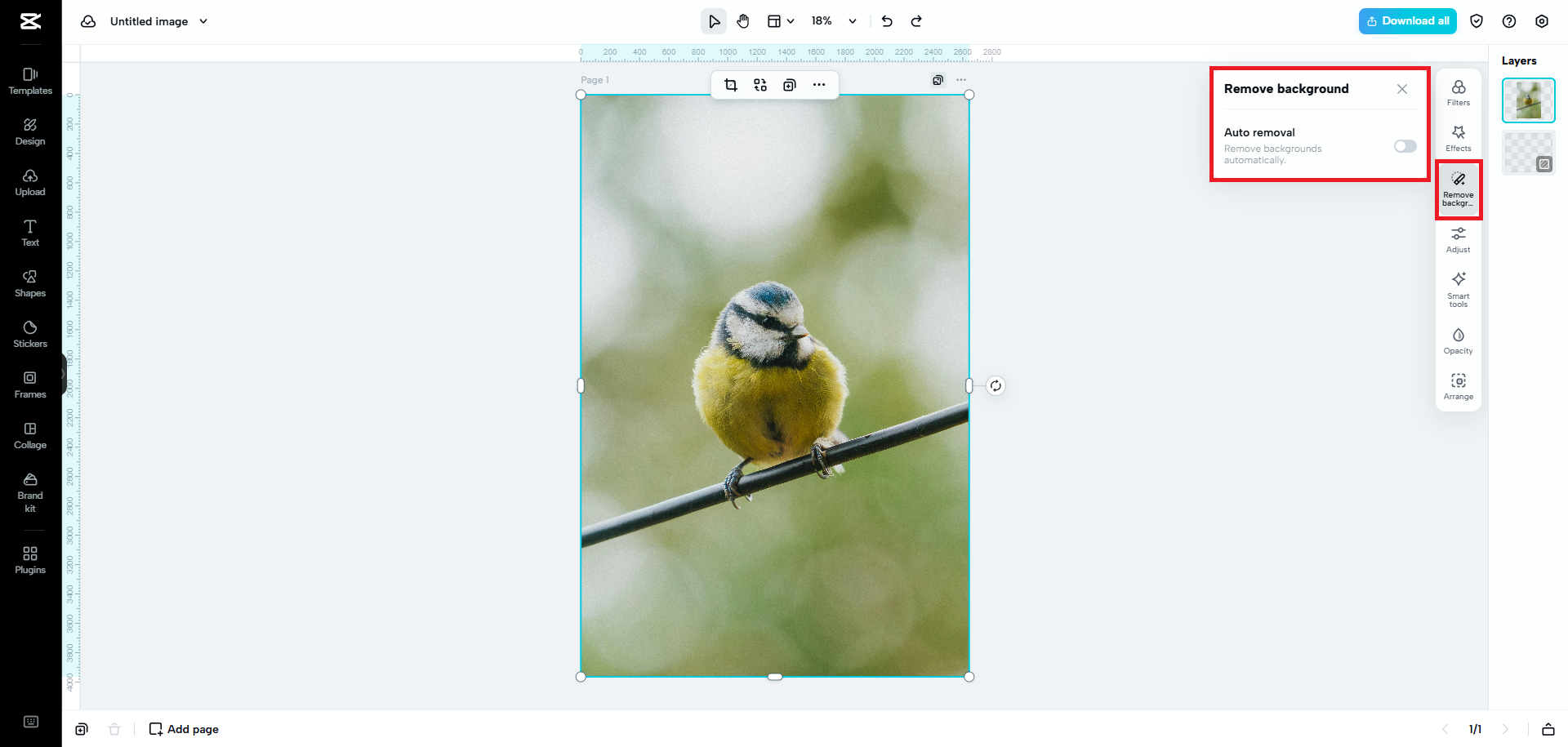 Remove the image's original background