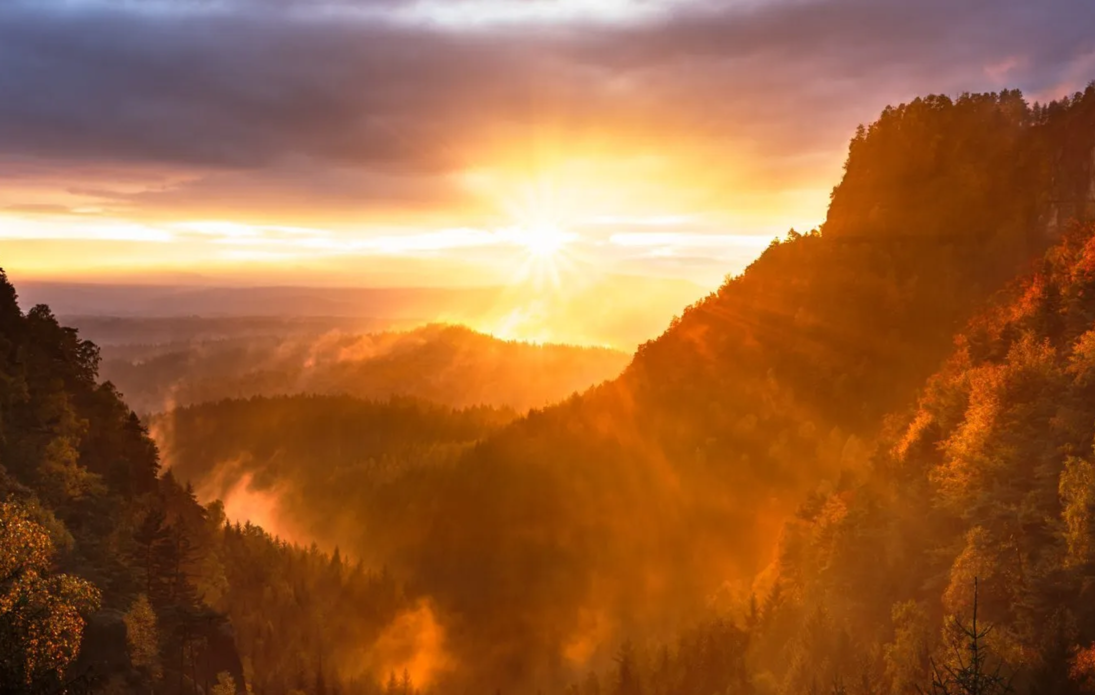 Golden hour photography