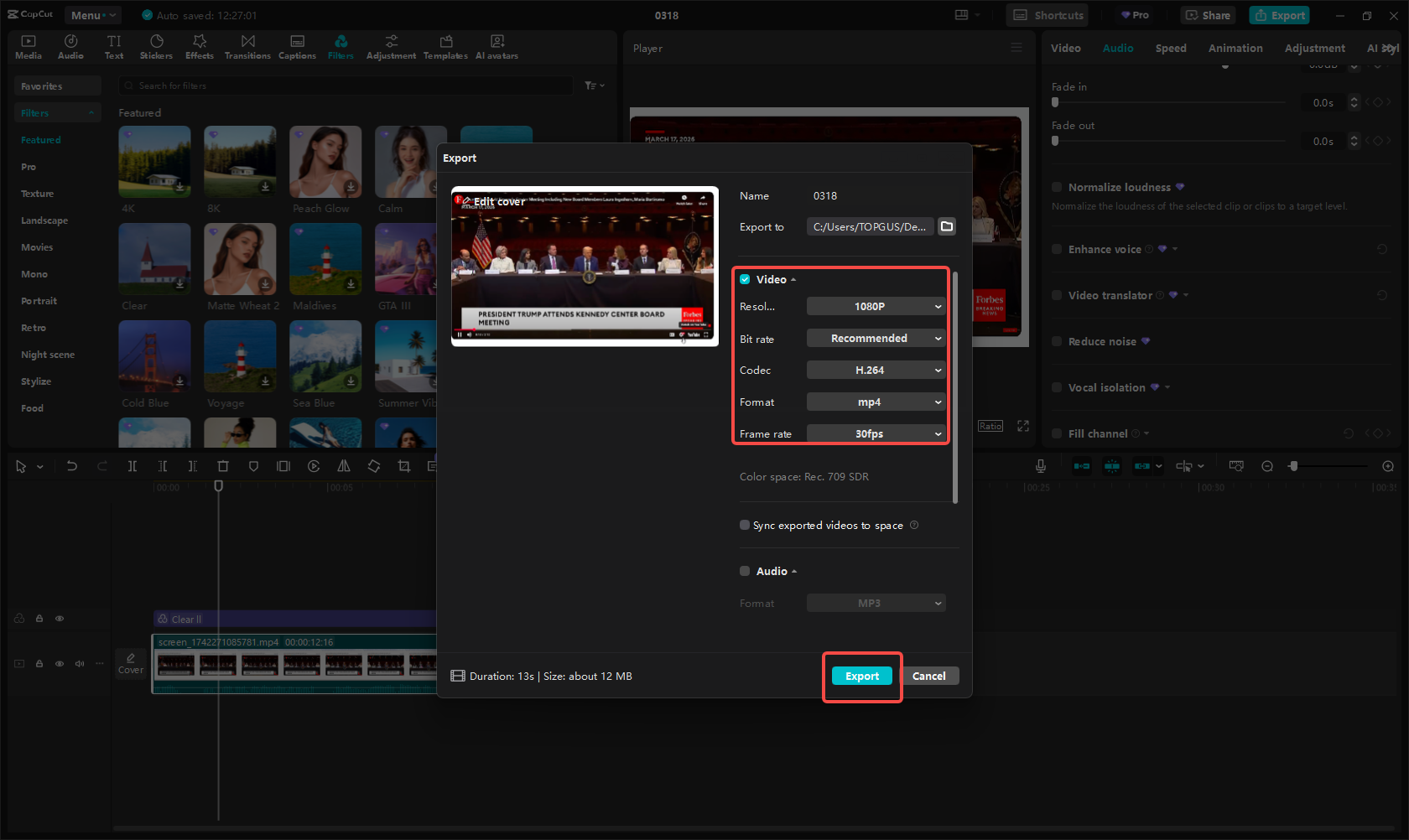 Exportieren Sie die Aufnahme