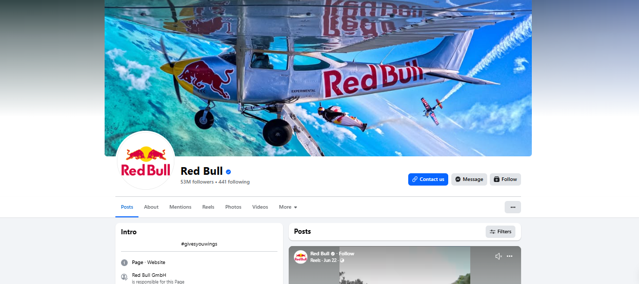 Маркетинговый пример Red Bull