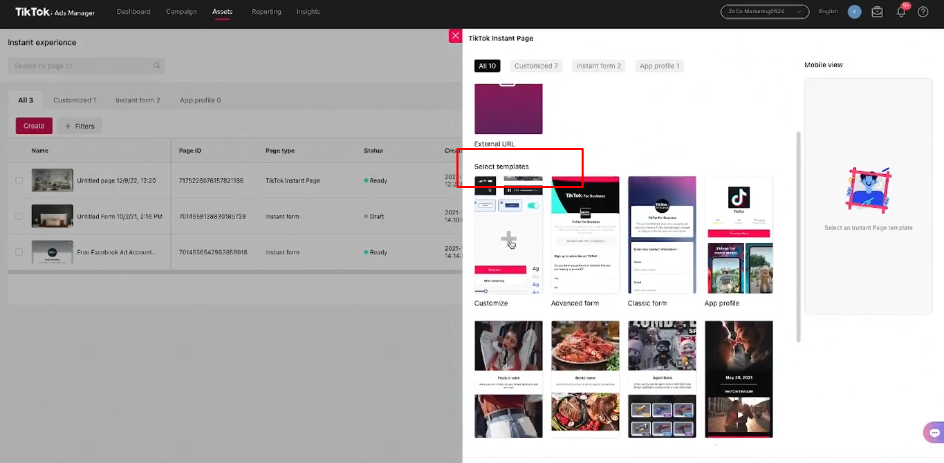 Auswahl der gewünschten Vorlage für das TikTok-Formular