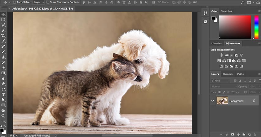 Adobe Photoshop arayüzü
