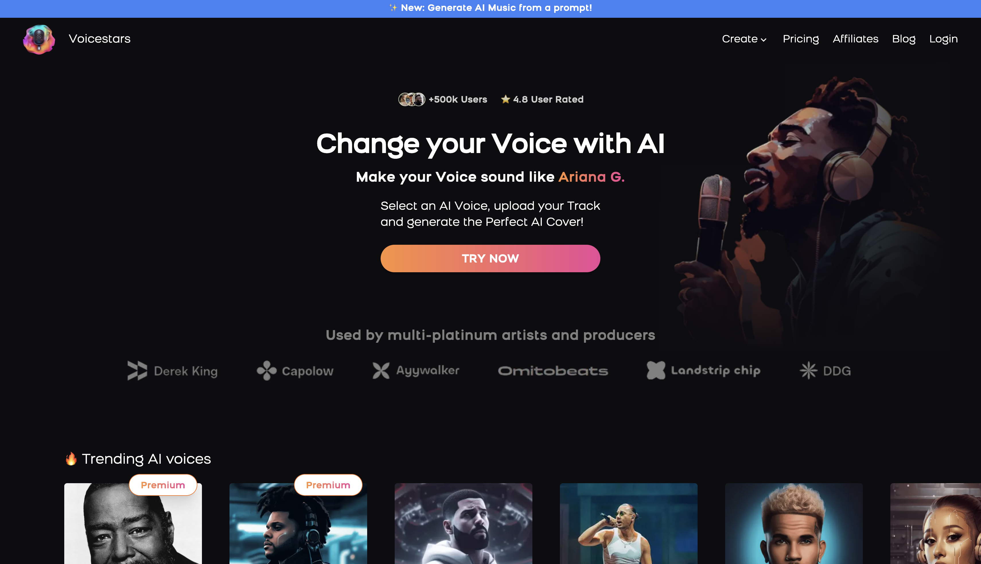 Rozhraní Voicestars