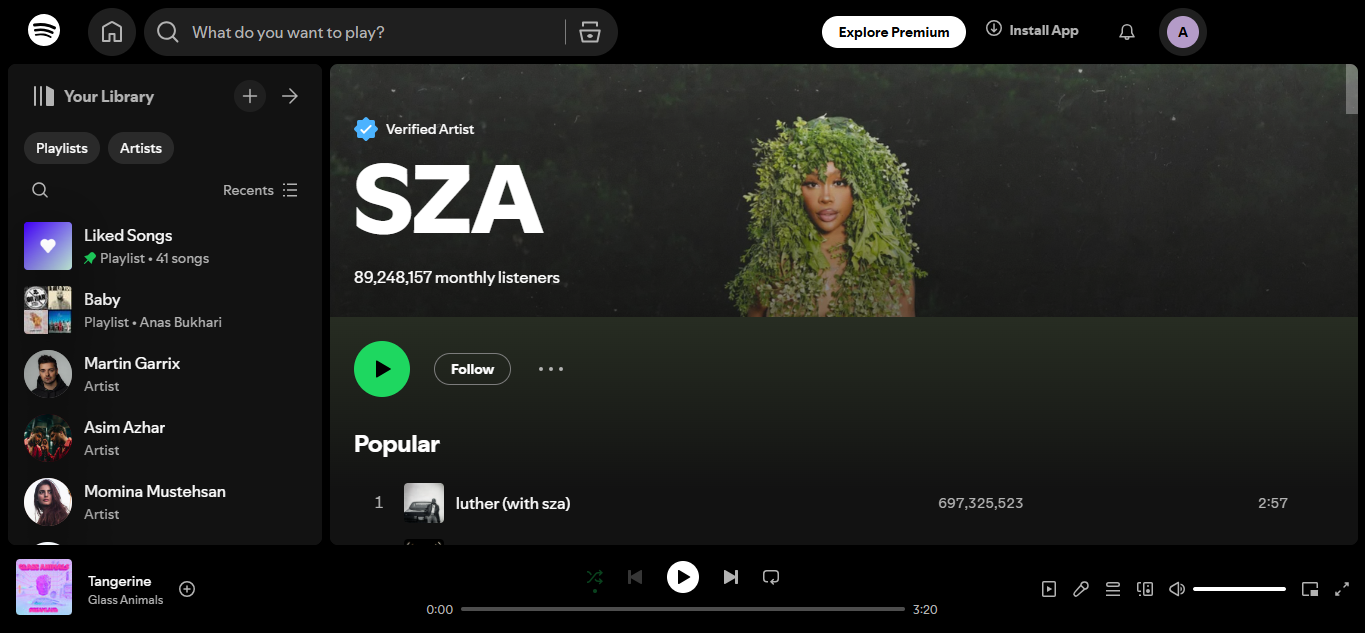 SZA - top artist among Spotify 500 artists