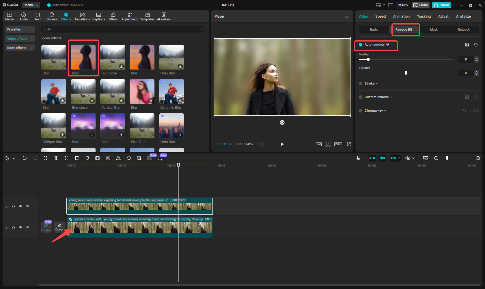 טשטש את רקע הווידיאו