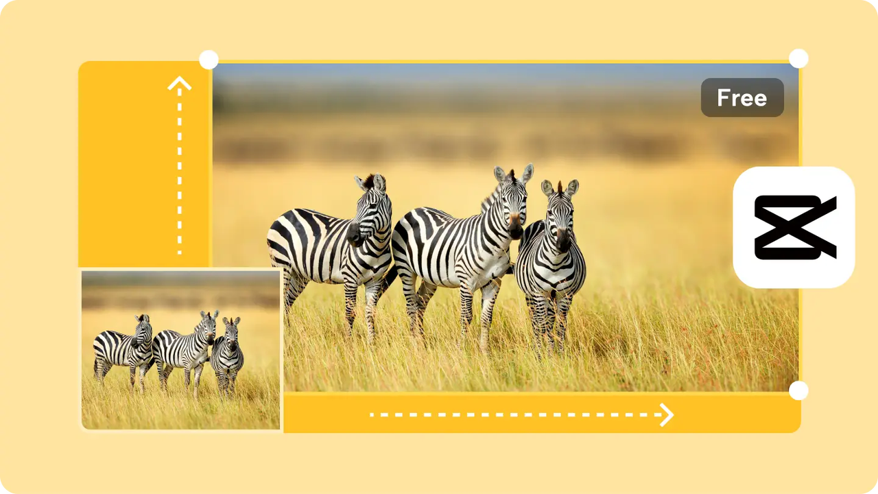 Resize images online with CapCut