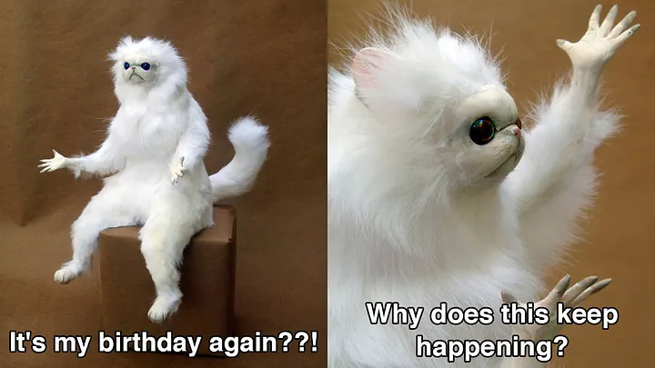 Image showing a funny birthday meme for animal lovers