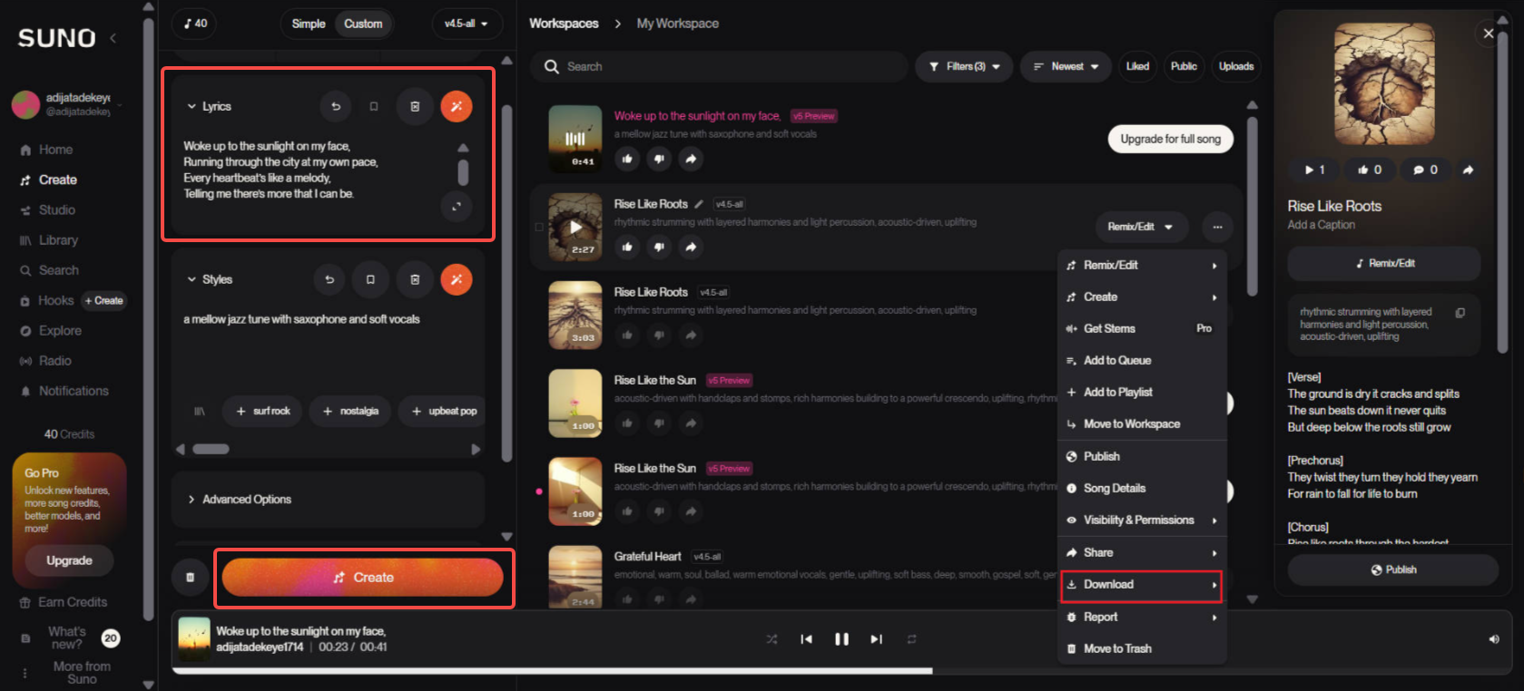 Input your lyrics