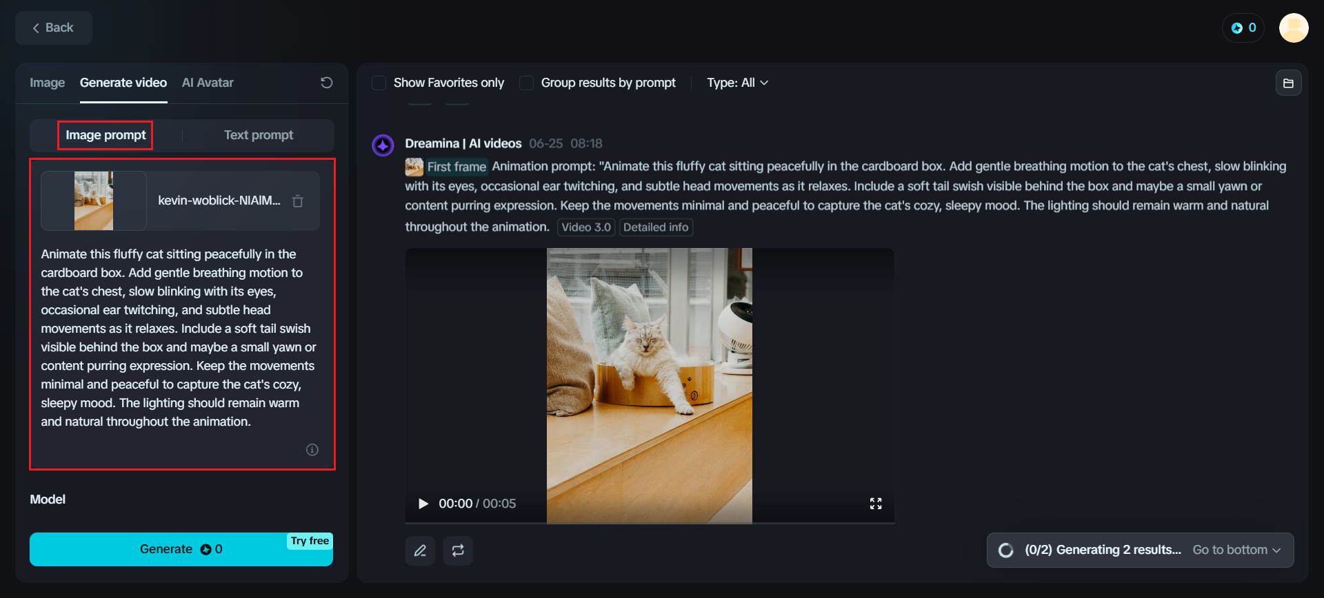 Upload image and write prompt