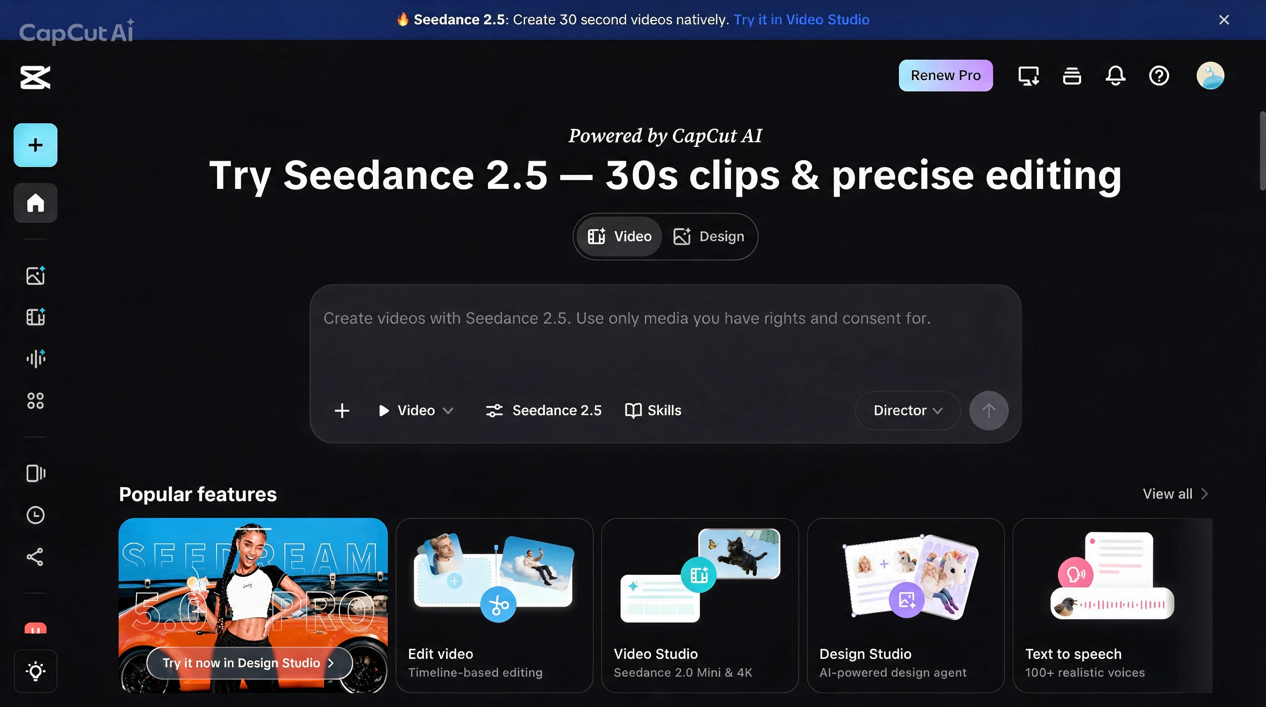 Open CapCut and write cinematic prompt for Seedance 2.5